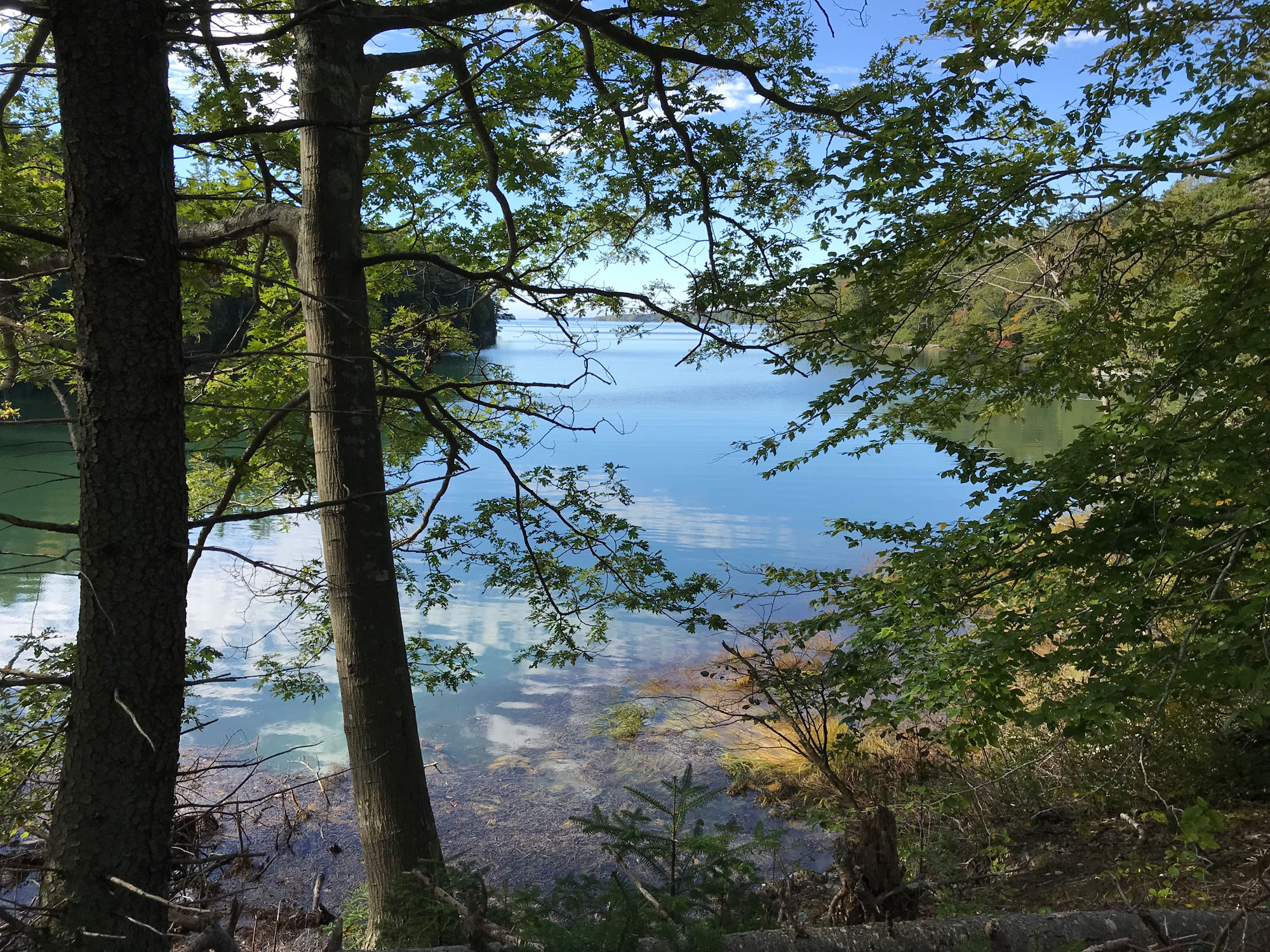 Birch Island South Preserve Harpswell Heritage Land Trust