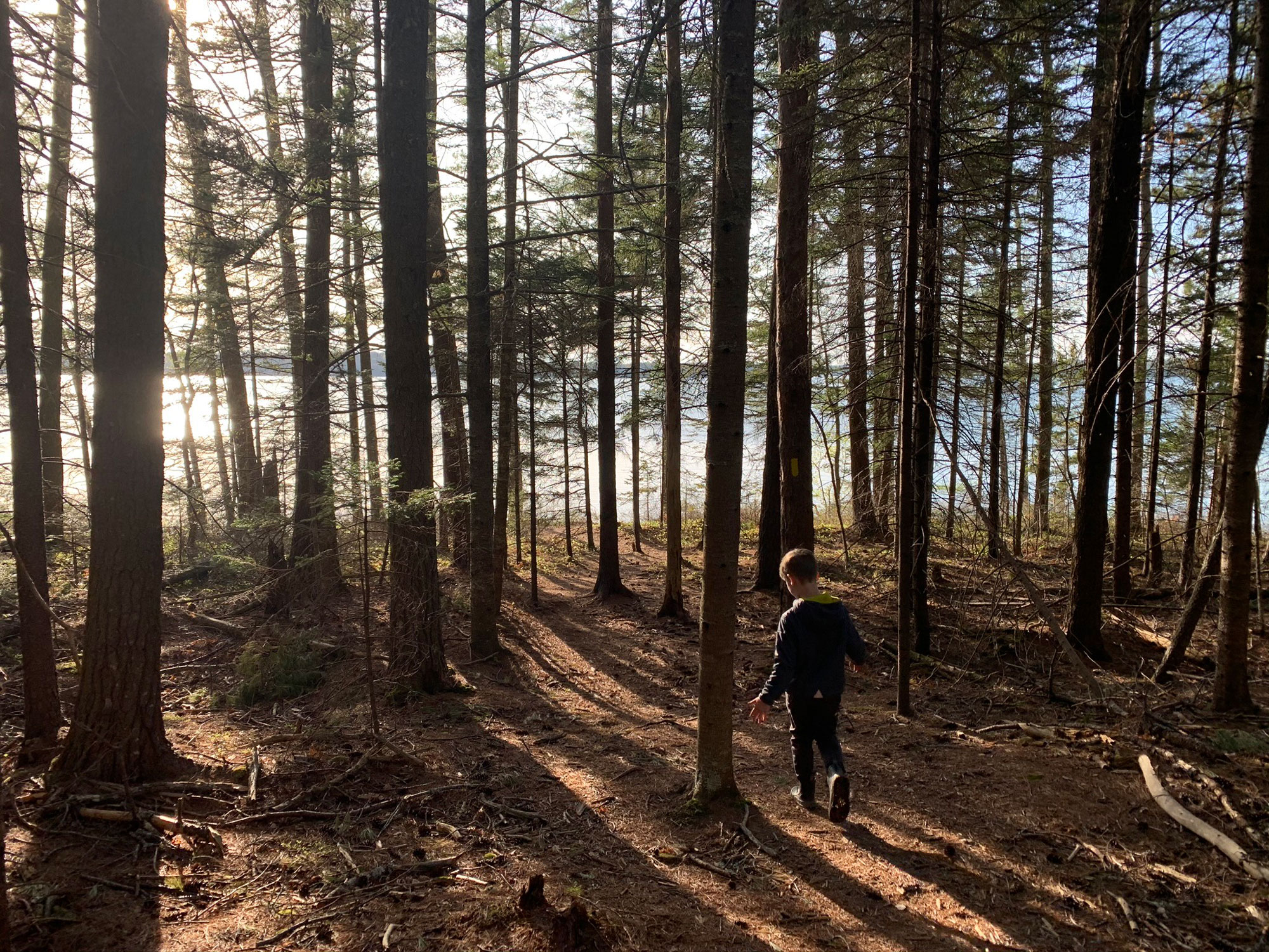 Wilson's Cove Trail Harpswell Heritage Land Trust
