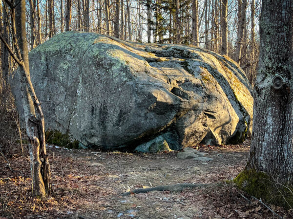 large boulder among trees