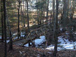 Bridge (Jamie Pacheco photo)