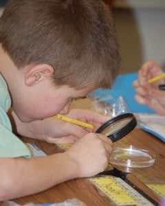 Harpswell Community School third graders raised Atlantic Salmon eggs in their classroom. Educational lessons were provided by HHLT. (Kara Douglas photo)