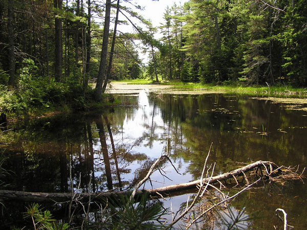 2015-Otter-Brook-Pond-RB