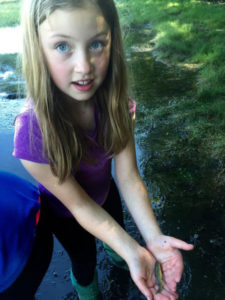 Salin Bachor, 9, holds a captured mummichog minnow at Long Reach in Harpswell June 7. The minnows are bait in a project to track great blue herons. (Walter Wuthmann photo)