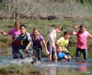 Harpswell Community School students play in the salt marsh off Long Reach Lane after capturing minnows for a citizen science project June 7. (Mary Ann Nahf photo)