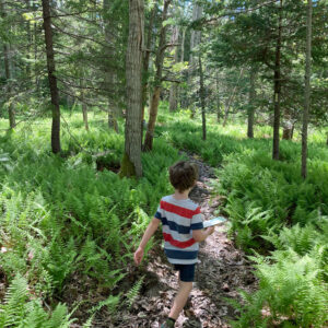 child walks on trail through ferns