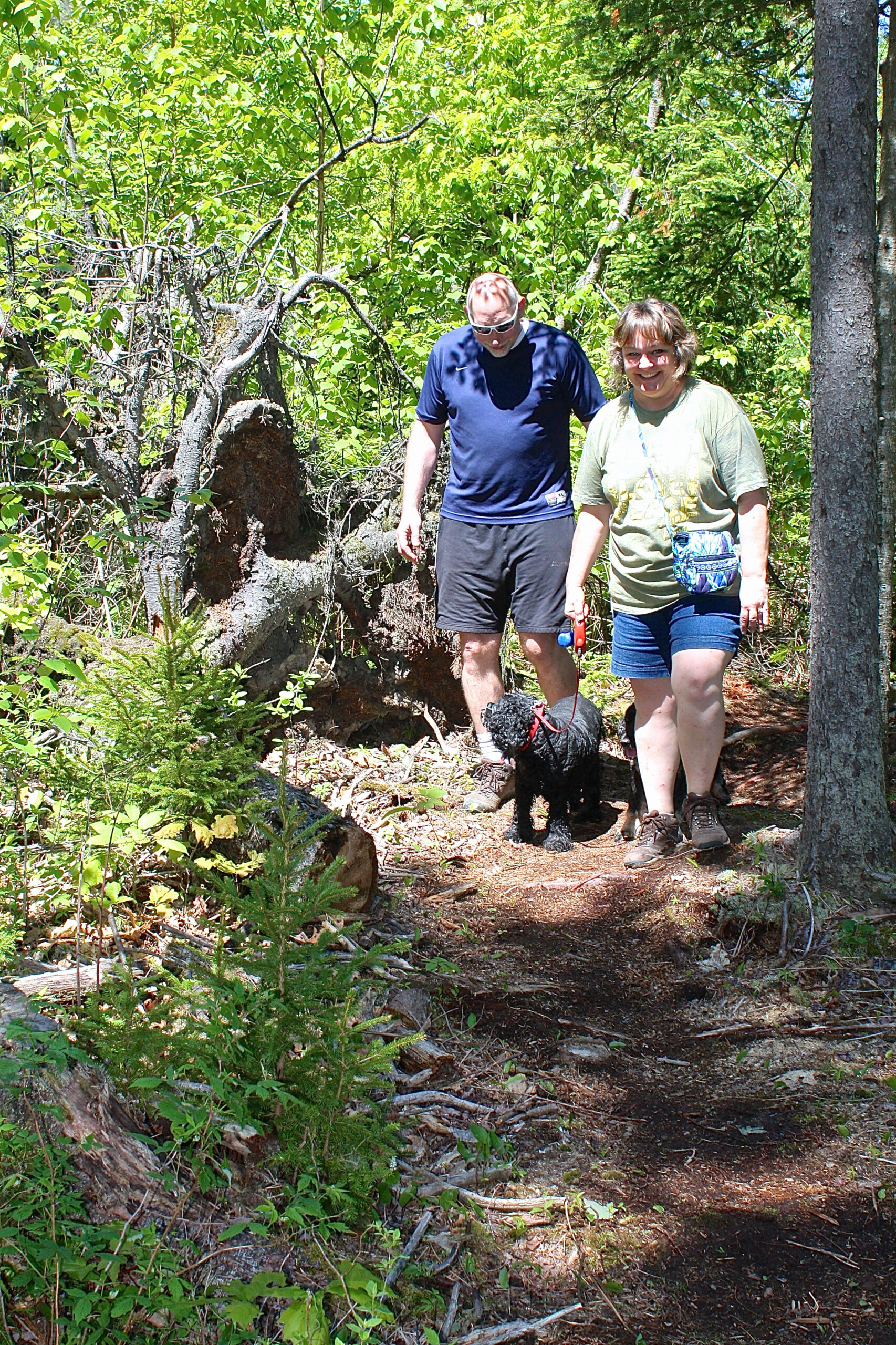Dogs on Harpswell Trails Harpswell Heritage Land Trust
