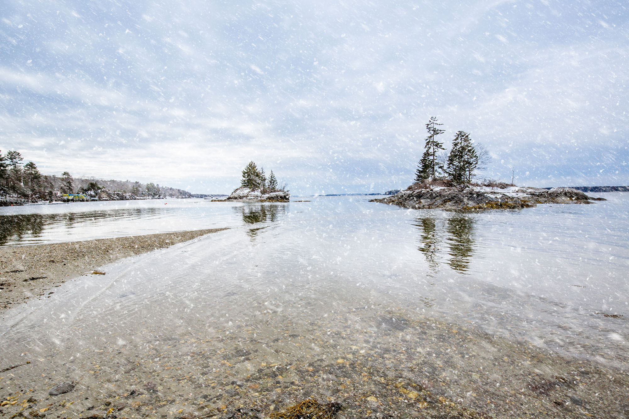 This Week in Harpswell February 2021 Harpswell Heritage Land Trust