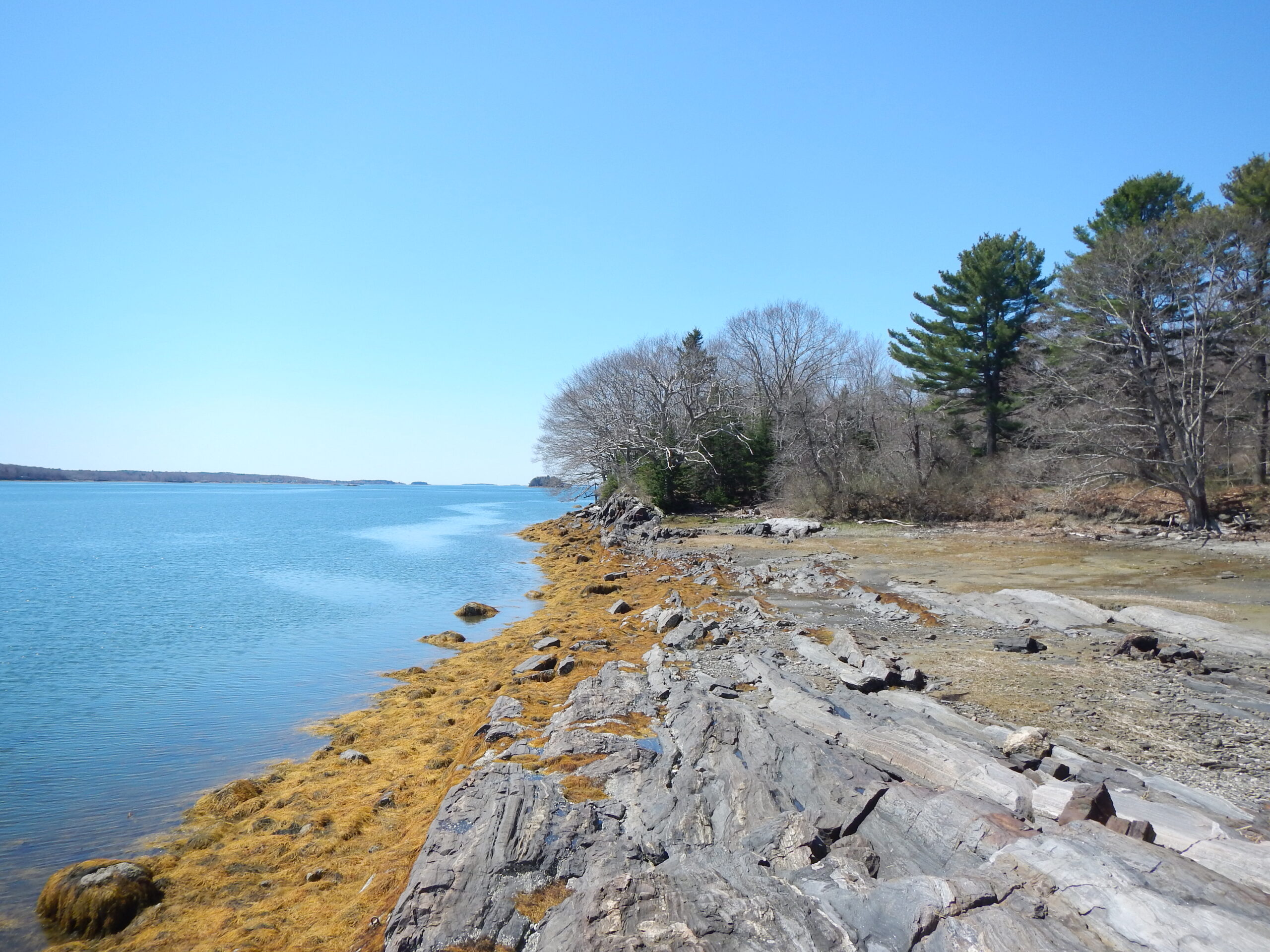 Visiting Ghosts on Birch Island - Harpswell Heritage Land Trust