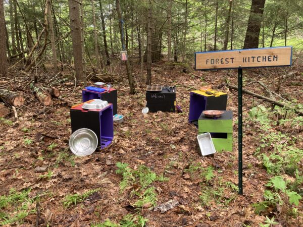 toys in woods