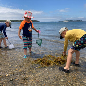 children search waters edge for critters