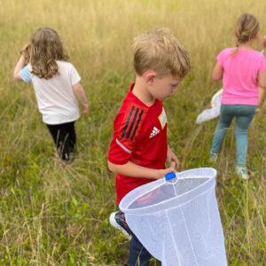 children search field with butterfly nets