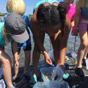 children examine buckets of critters