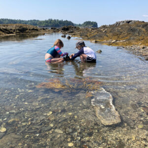 two children play in tide pool