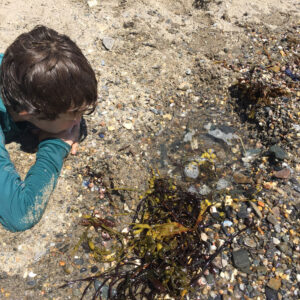 child watches homemade tide pool
