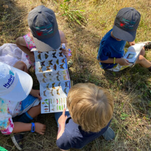 children examine field guides