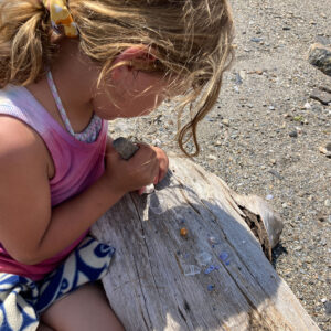 child grinds shells to powder on log