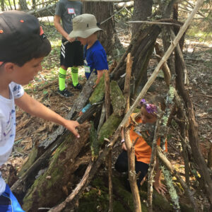 children build fort in woods