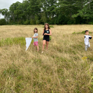 children walk through field with butterfly nets