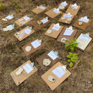 clipboards lay in grass with clay creations