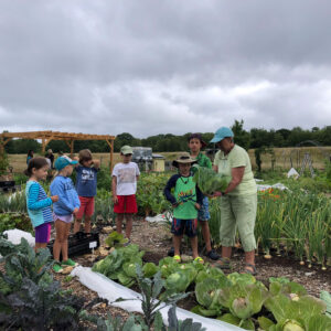 children harvest vegetables in garden