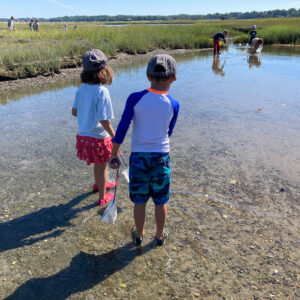 children search tide pool with nets
