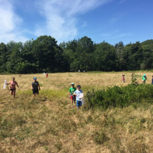 children spread through field searching for butterflies