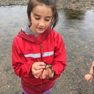 child holds crab in tide pool