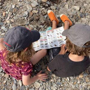 children examine field guide