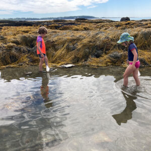 two children search tide pool