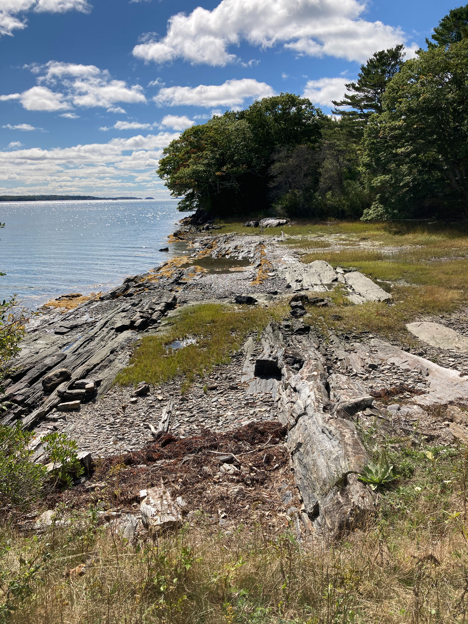 Helen and Walter Norton Preserve on Birch Island Harpswell Heritage