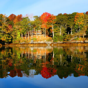 bright colored trees in fall at edge of water