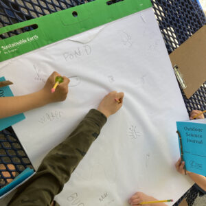 children write and draw on poster