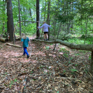 child walks across fallen tree as if balance beam