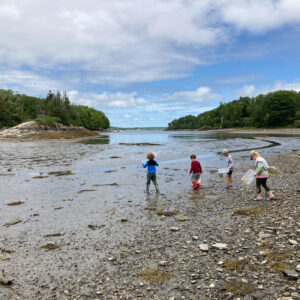 children walk mudflat at low tide