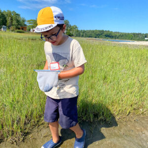 boy examines contents of dip net at beach