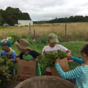 children gather what they've harvested at community garden