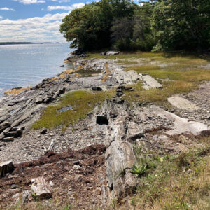 rocky shoreline of Birch Island