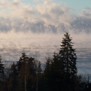 view of water and sea smoke over trees