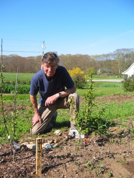 Robert McIntyre kneels next to apple tree sapling