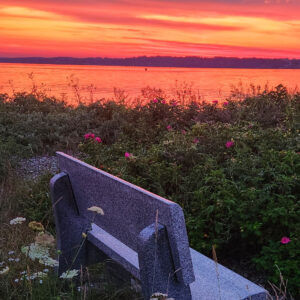 bright orange sunset over granite bench and beach rose bushes