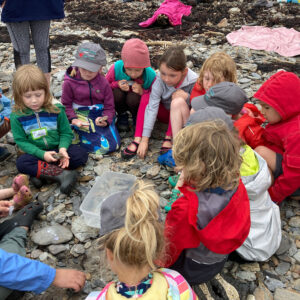 group of children sit on rocky beach around plastic bin