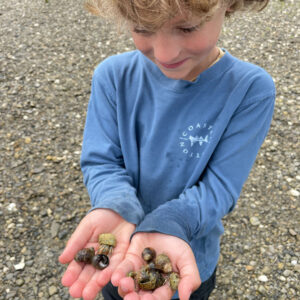 boy in blue shirt proudly holds two handfuls of hermit crabs to camera