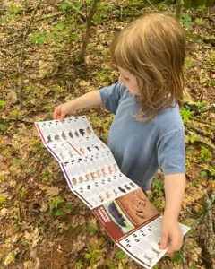 small child holds open ID guide with photos of mammals
