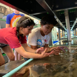 children and instructors hold sea stars over tank in marine facility
