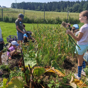 children harvest crops at community garden