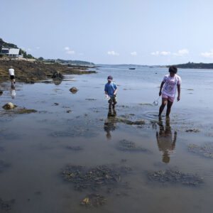 children stand in large tidepool that stretches to the background