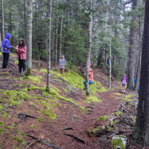 children in raincoats stand among trees on trail in woods
