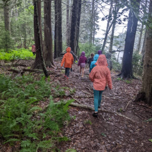 children in raincoats walk among trees in forest