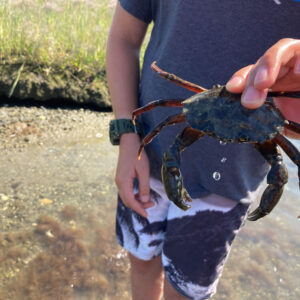child holds crab up to camera while standing in tide pool