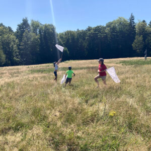 three children stand in field swinging butterfly nets